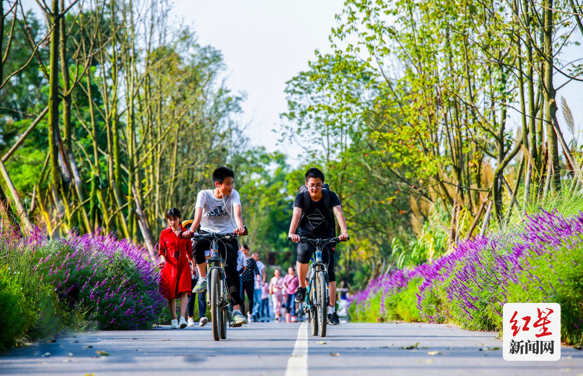 (转载)五一耍成都 | 最美公园·“五一”畅游 四大主题游线带你尽享公园城市最美春天