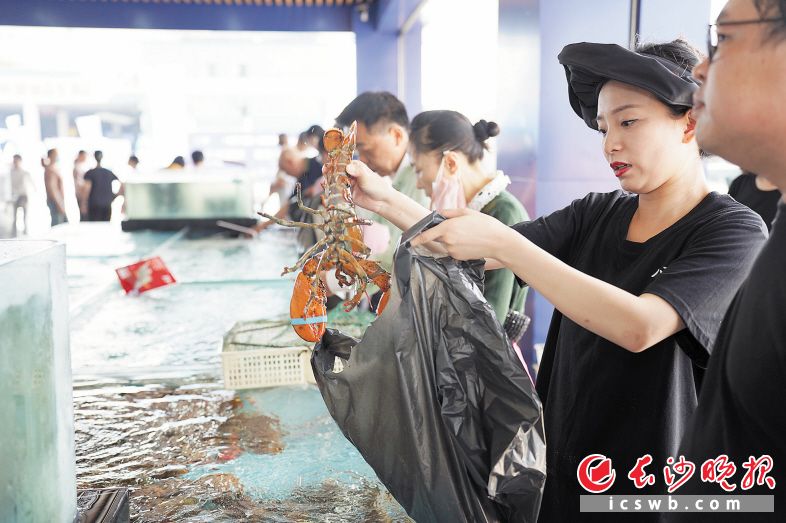 湖南(红星)农产品流通产业园红星海鲜水产批发市场开业 家门口一站购全球海鲜_fororder_1