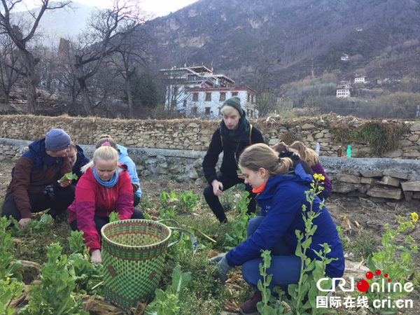 图片默认标题_fororder_6、挪威师生参与农耕活动-(2)