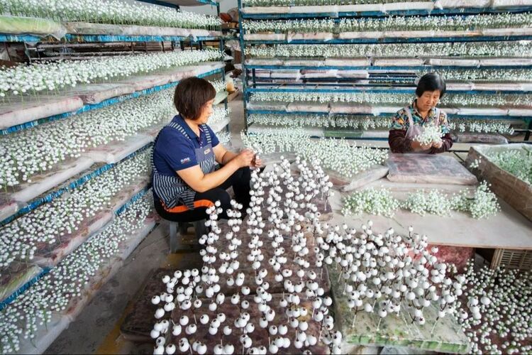 【原创】潍坊安丘：出口“绢花”销售额已达8000多万_fororder_绢花
