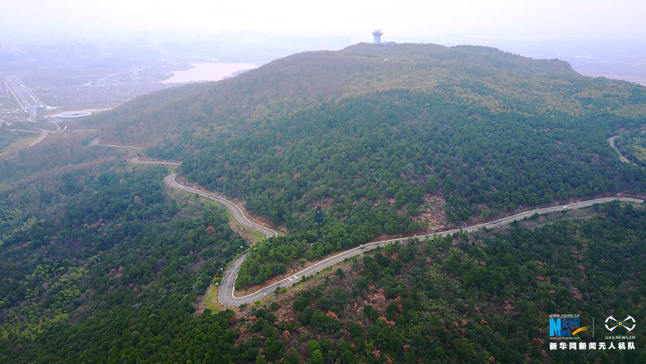 航拍初春南京溧水无想山 一片翠绿林海