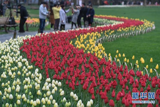 图片默认标题_fororder_上网1-2