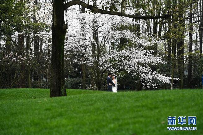 图片默认标题_fororder_上网1-5