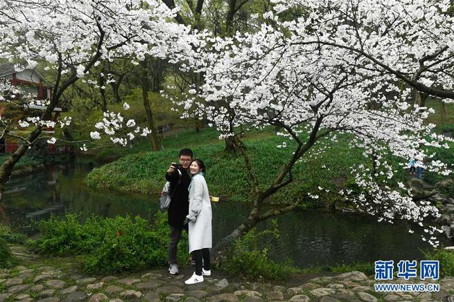 图片默认标题_fororder_上网1-3