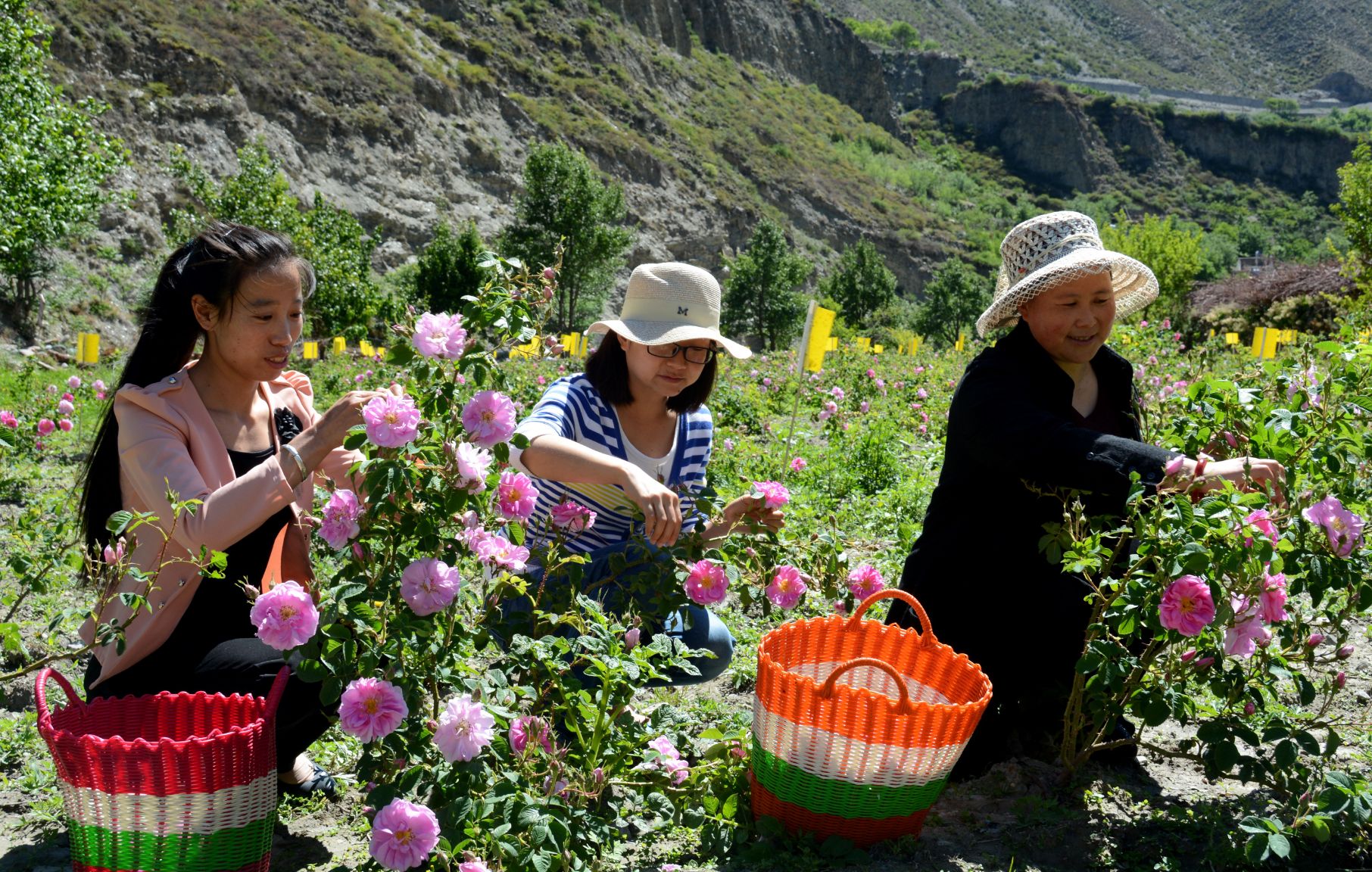 （导航成都，移动端）小金县文化旅游农特产品推介会将在成都举行