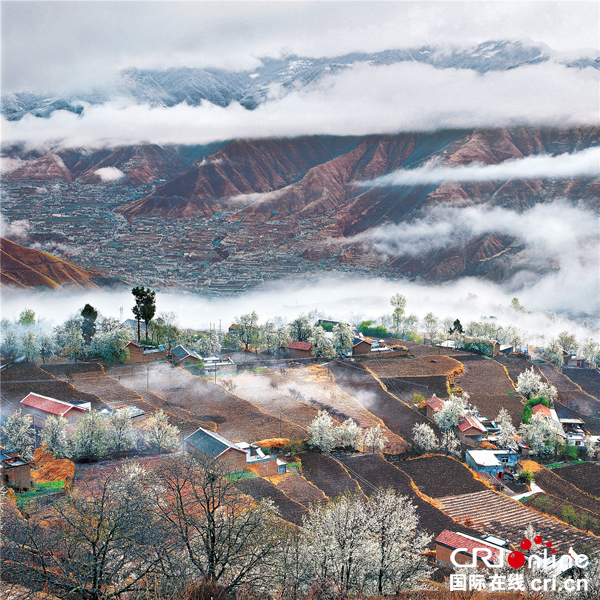 图片默认标题_fororder_8、如诗如画的金川梨花风光-摄影-吕仕友