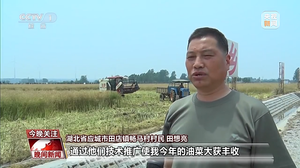 科技改变农业!当传统小麦遇上现代机械化收割……