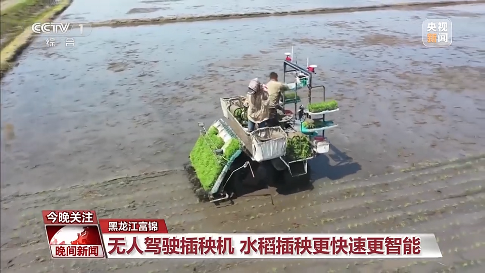 科技改变农业!当传统小麦遇上现代机械化收割……