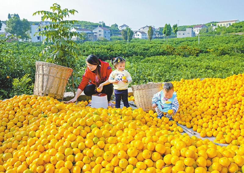 (转载)资阳市雁江区:执农业现代化之笔 绘美丽乡村画卷_fororder_ed3e4df0ad3808b4fe562687788c06c8