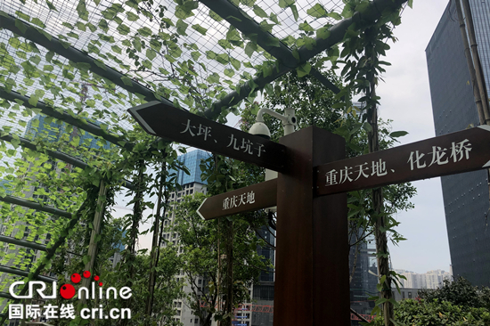 【CRI专稿 列表】重庆首条电动扶梯崖壁步道开放 展示山城立体之美