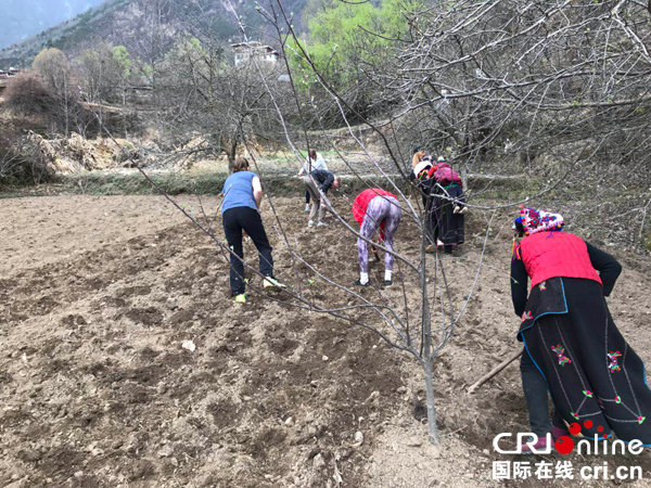 挪威师生参与农耕活动(供图 甘孜州丹巴县委宣传部 )