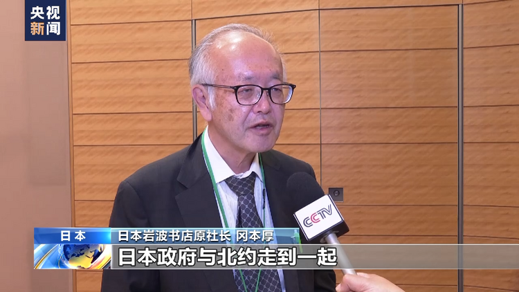 日本学者:日本向北约靠拢值得警惕