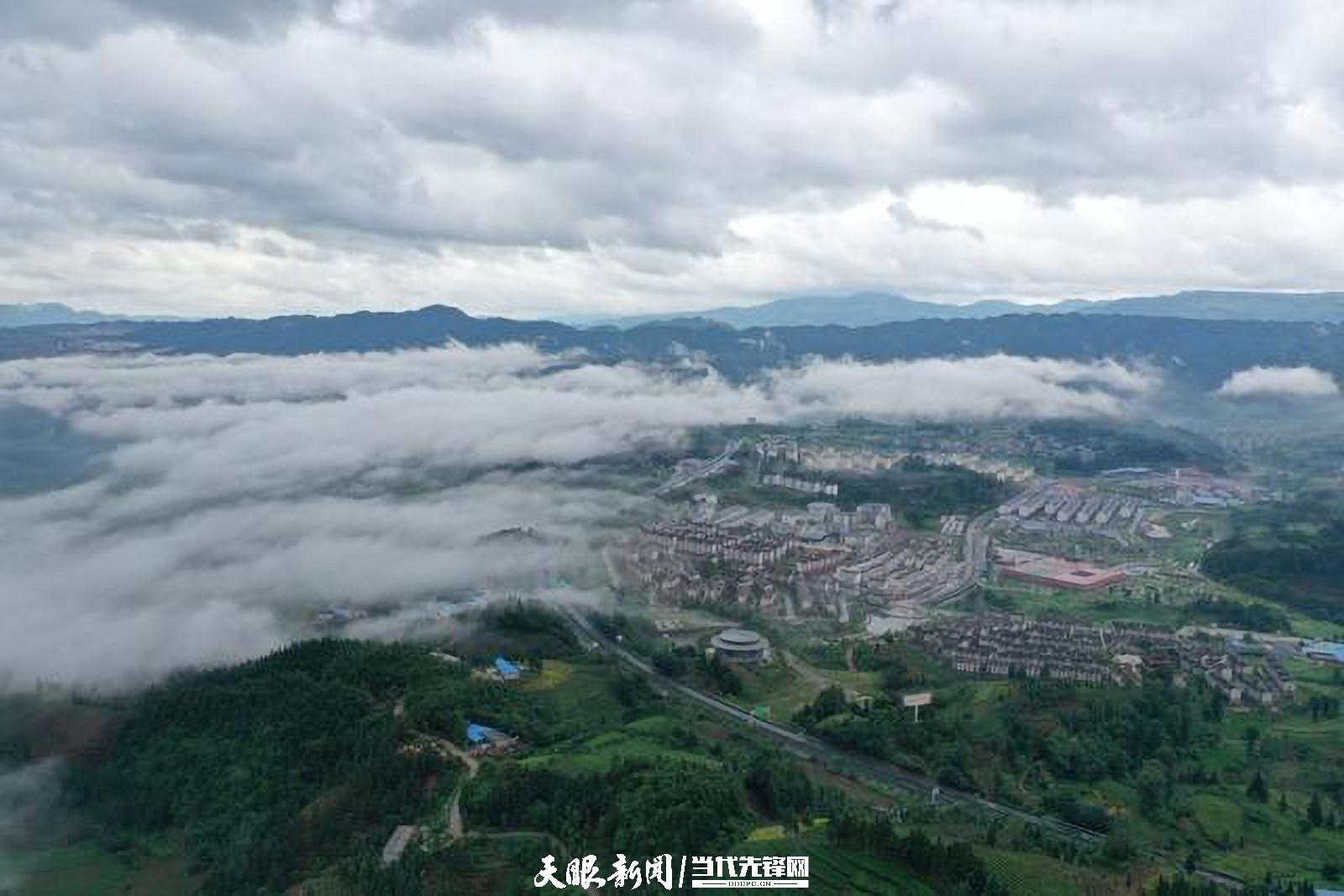(中首)贵州普安:万亩茶山景色美茶旅融合谱新篇