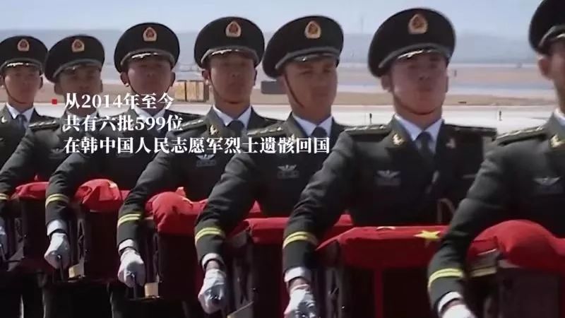 央视新闻：终于找到你！让我们接你回家