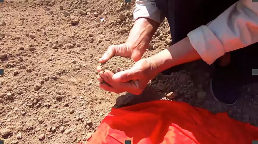 央视新闻：终于找到你！让我们接你回家