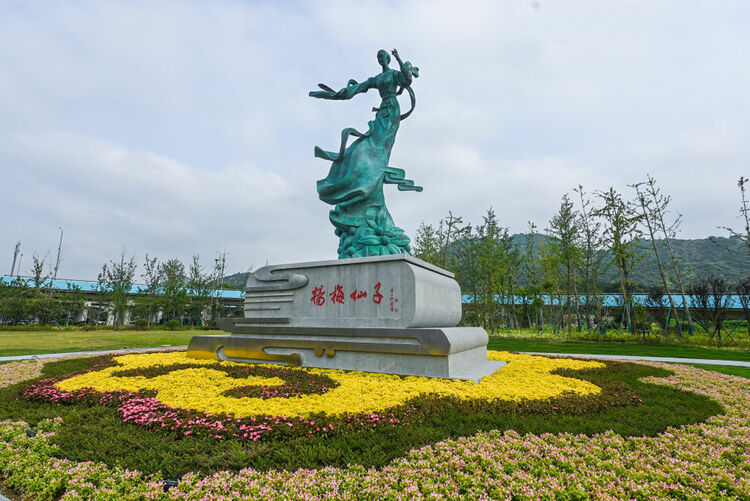 新华全媒+|浙江慈溪:“千万工程”优胜县的“美丽蝶变”