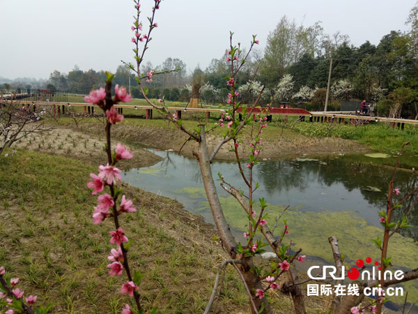 图片默认标题_fororder_2