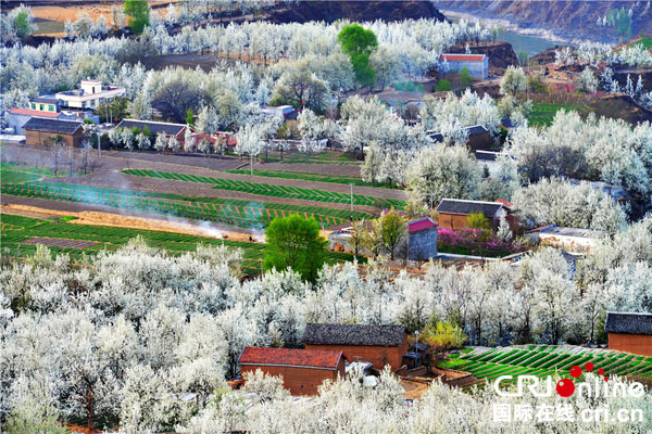 图片默认标题_fororder_梨乡晨曲--摄影-屈玉徽