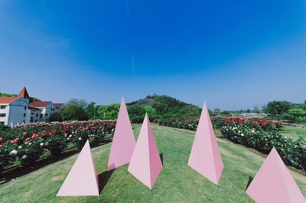 【文化旅游-滚动图】上海辰山植物园上新打卡点“海誓山盟” 拉满浪漫氛围感