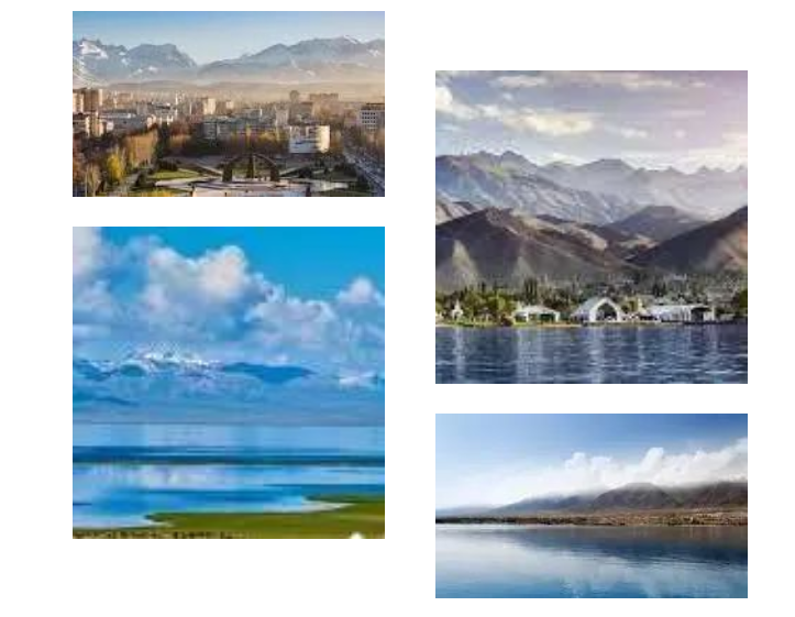 惊艳首秀!AI伍姐带你玩转中亚五国