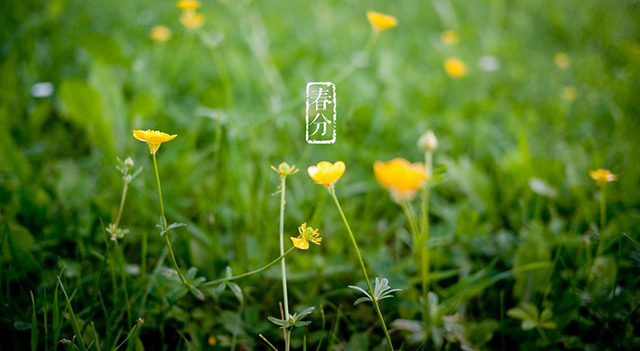 3月21日 水曜日 3月21日 水曜日