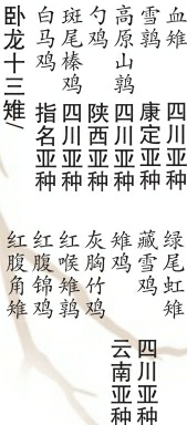 （焦点图，导航成都，移动端）四川25种雉鸡类 一半以上出现在卧龙(组图)