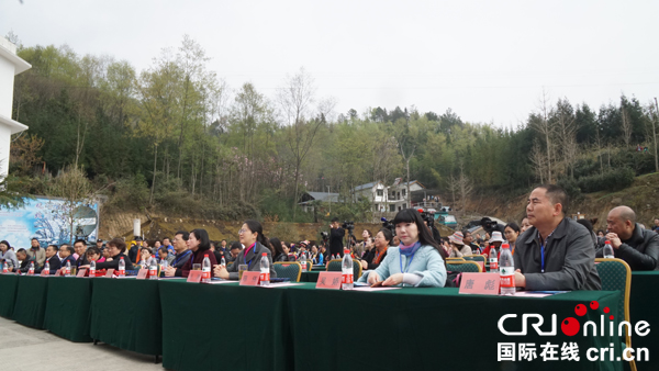 图片默认标题_fororder_DSC02928