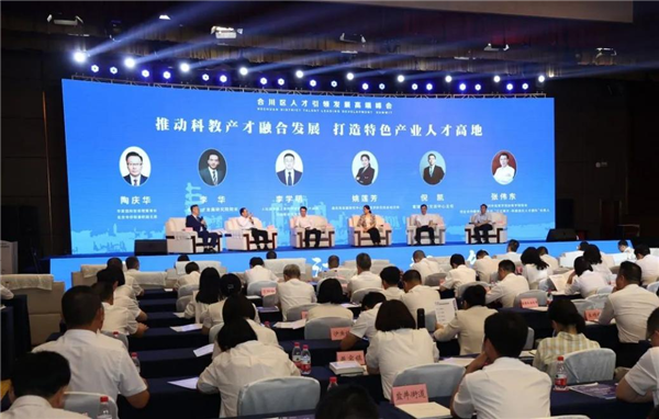 重庆市合川区人才引领发展高端峰会举行_fororder_图片2