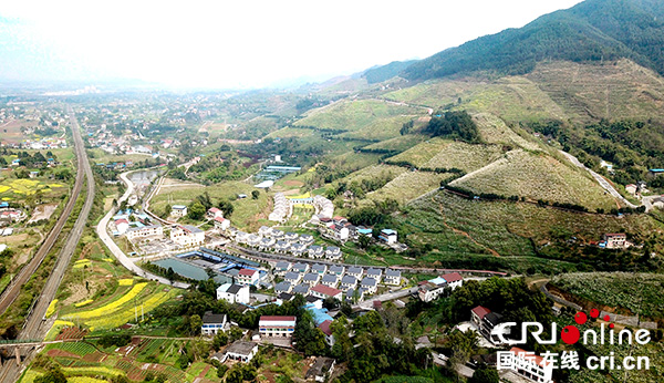 图片默认标题_fororder_梨花似春雪--新村美如画[3]