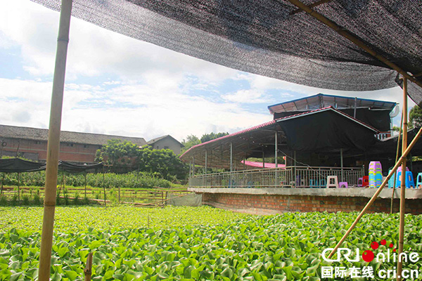 图片默认标题_fororder_小龙虾农庄（摄影：王遥）