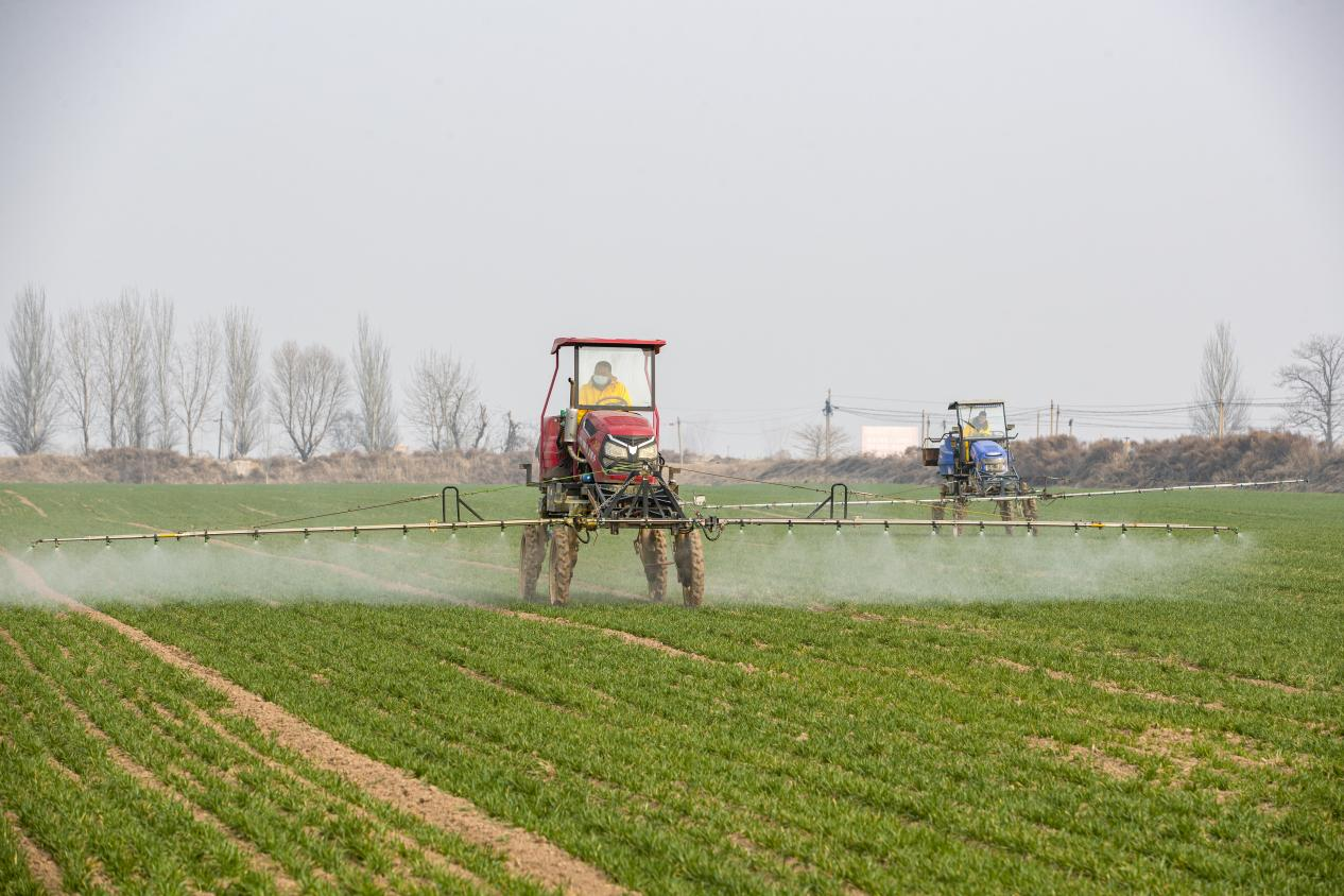 陕西渭南:扎实开展“三个年”活动 全力推进经济社会高质量发展_fororder_图片26