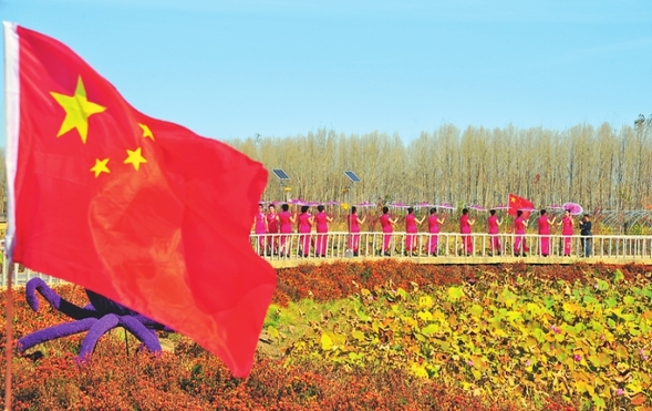 “北林寒地香米·稻田旗袍秀”闪耀龙江