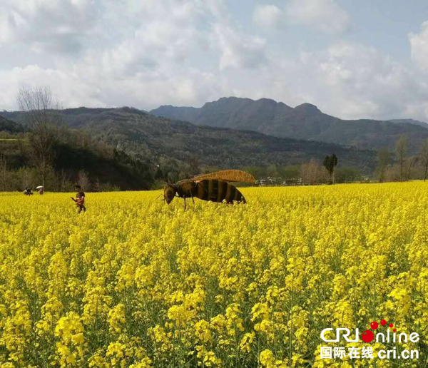 图片默认标题_fororder_花海无垠