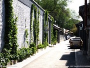 Kebudayaan Lorong di Beijing