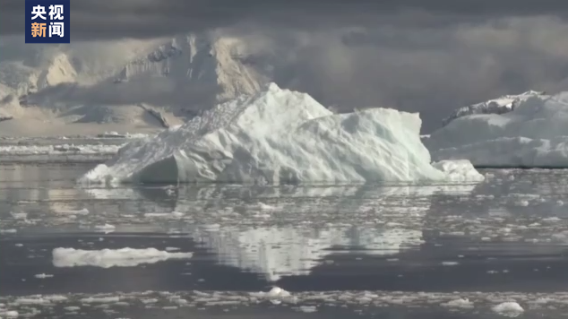 泰国和美国两地大量鱼类死亡 或与海洋升温有关