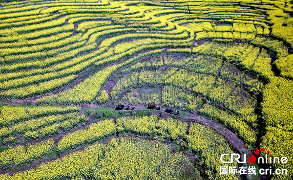 图片默认标题_fororder_锦绣山村春意浓[2]