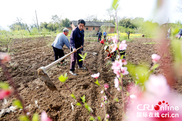 图片默认标题_fororder_村民正在地里松土-(2)
