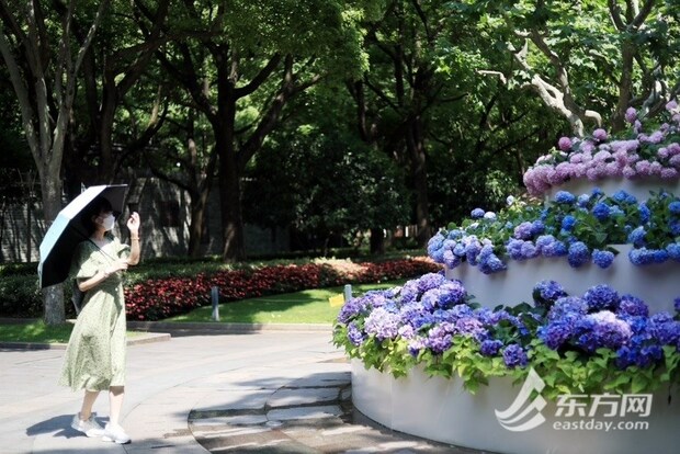 【文化旅游-滚动图】上海徐家汇公园“绣球蛋糕”出圈
