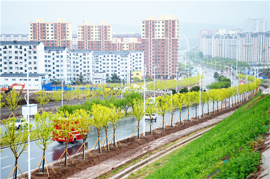 延吉市完成“绿美延吉”行动春季树木栽植工作_fororder_图片1