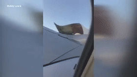 「海外网」美联航一架波音737紧急返航 引擎盖飞行时被掀开