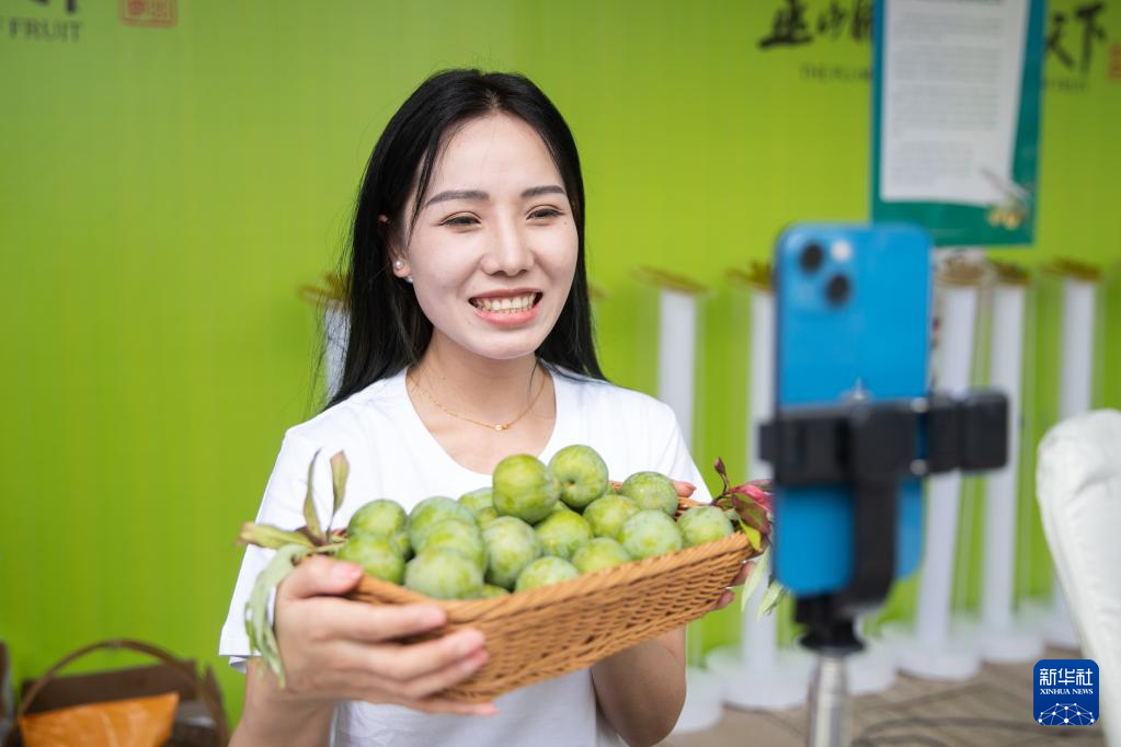 【城市远洋】重庆:“脆李航班”再起航 致富果飞出三峡