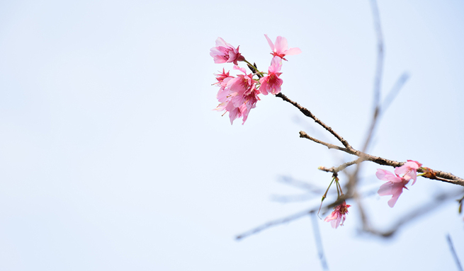 3月18日　アモイ、風雨依旧さん