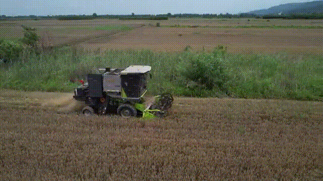 渭南: 抢抓农时保丰收_fororder_WeChat_20230606150939 00_00_09-00_00_12