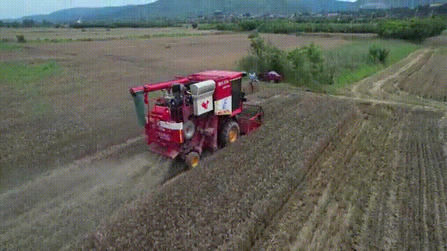 渭南: 抢抓农时保丰收_fororder_WeChat_20230606150939 00_00_16-00_00_19