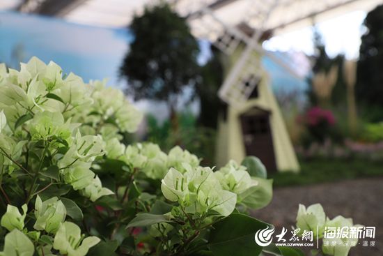 第五届济南花卉园艺博览会暨第二届济南都市农产品博览会在商河开幕