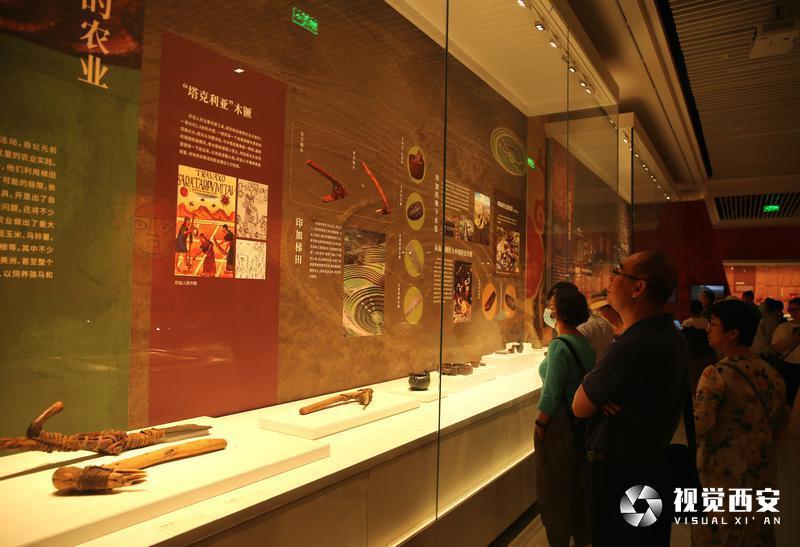 “消失的文明——印加人和帝国四方之地”展览在陕历博开幕