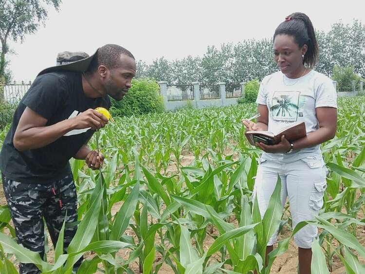 资讯有故事|中国农业大学“中非科技小院”:助力非洲农业发展