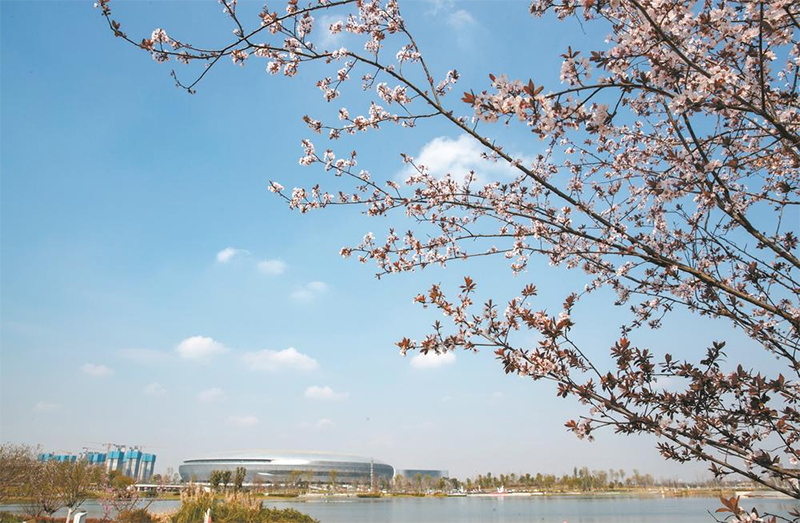 (转载)成都擦亮公园城市示范区“绿色”底色_fororder_未标题-5