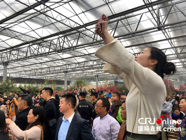 图片默认标题_fororder_5