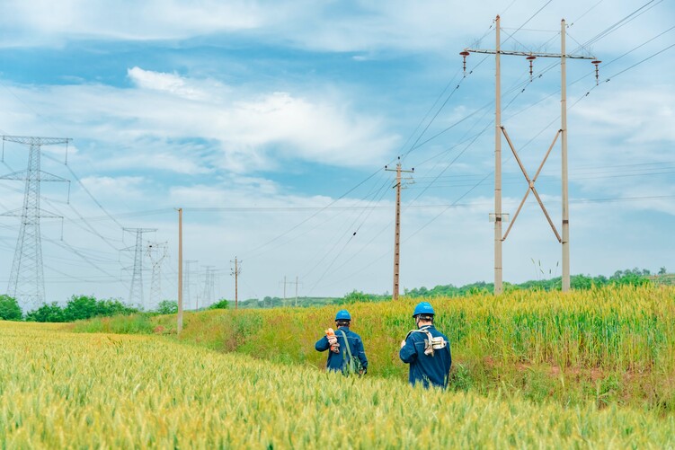 国网陕西电力:电力护航夏收颗粒归仓_fororder_国网陕西宝鸡供电公司工作人员到田间地头检修三夏用电线路.JPG